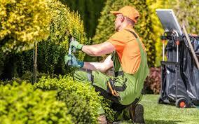 Gardening